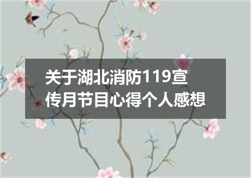 关于湖北消防119宣传月节目心得个人感想