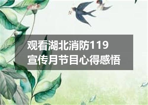 观看湖北消防119宣传月节目心得感悟
