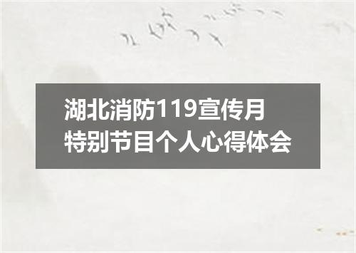 湖北消防119宣传月特别节目个人心得体会