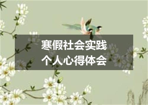 寒假社会实践个人心得体会