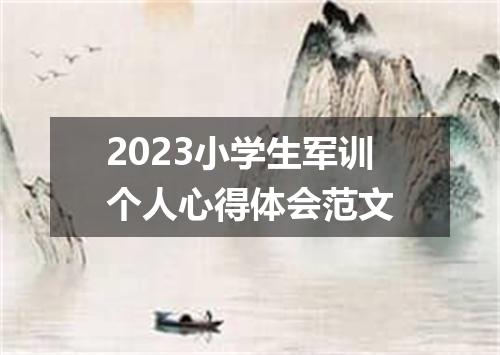 2023小学生军训个人心得体会范文