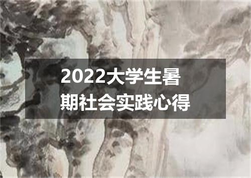 2022大学生暑期社会实践心得