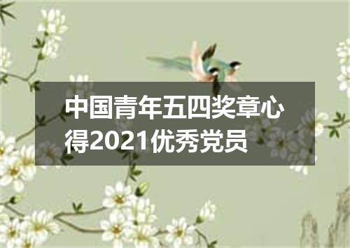 中国青年五四奖章心得2021优秀党员