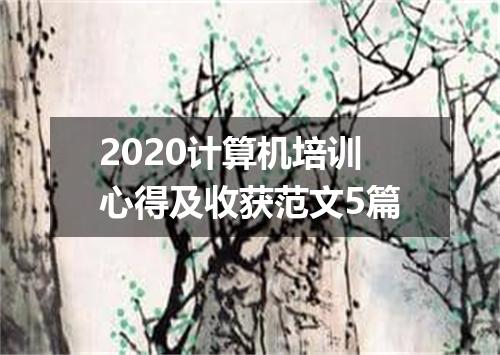 2020计算机培训心得及收获范文5篇