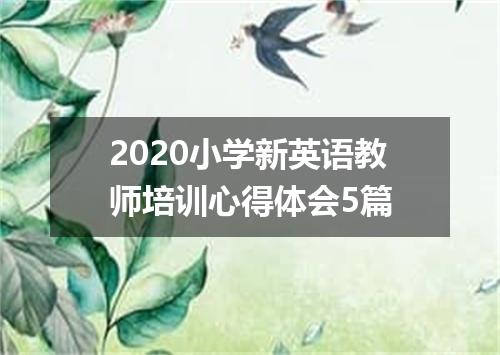 2020小学新英语教师培训心得体会5篇