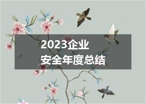 2023企业安全年度总结