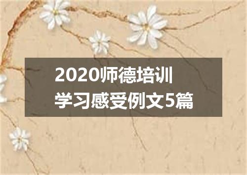 2020师德培训学习感受例文5篇
