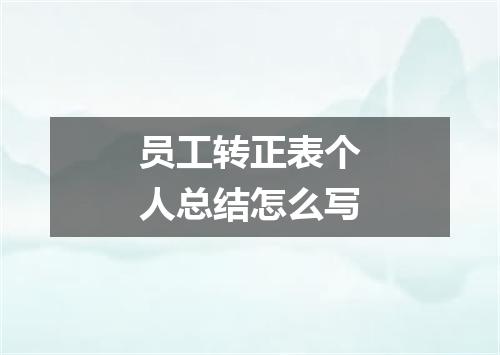 员工转正表个人总结怎么写