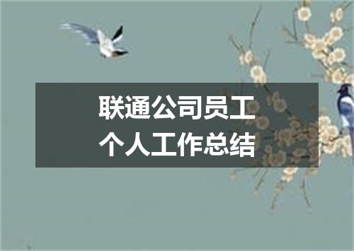 联通公司员工个人工作总结