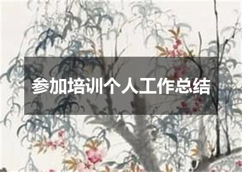 参加培训个人工作总结