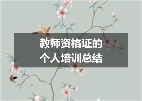 教师资格证的个人培训总结