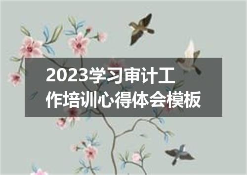 2023学习审计工作培训心得体会模板
