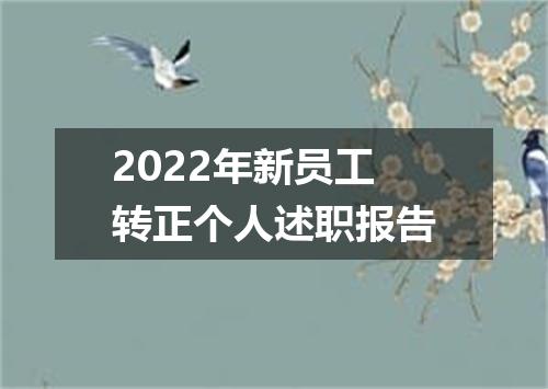 2022年新员工转正个人述职报告