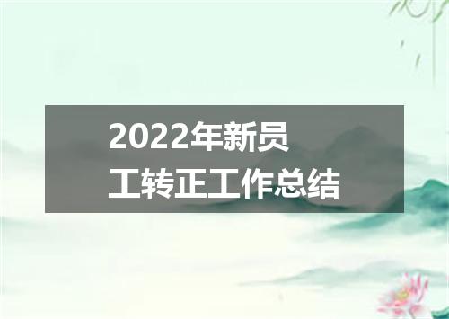 2022年新员工转正工作总结