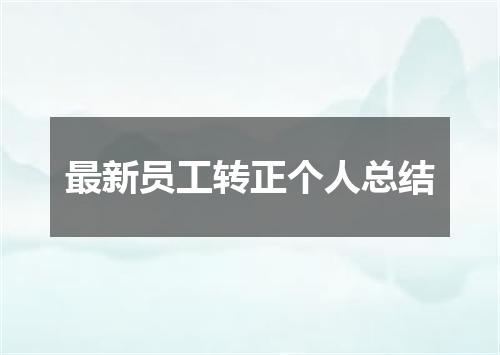 最新员工转正个人总结