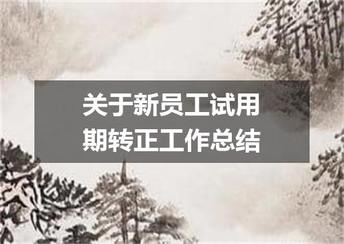 关于新员工试用期转正工作总结
