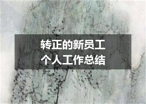 转正的新员工个人工作总结