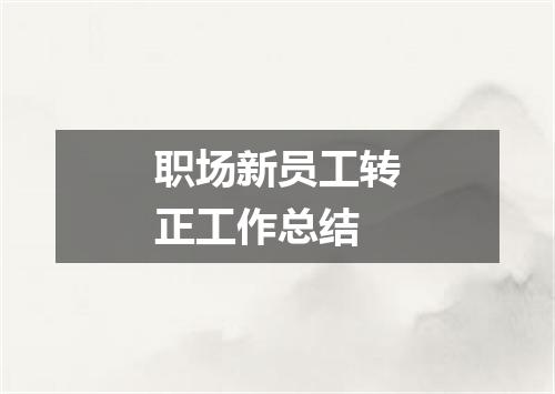 职场新员工转正工作总结
