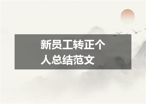 新员工转正个人总结范文