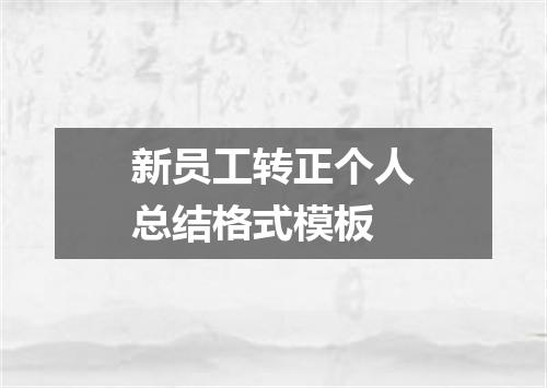 新员工转正个人总结格式模板