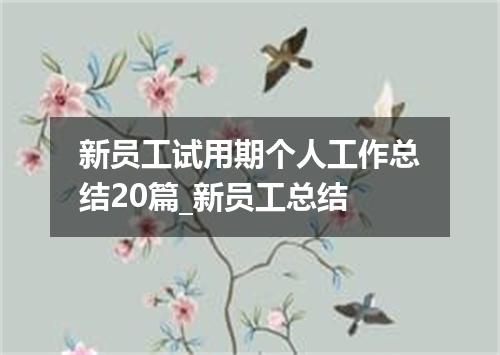 新员工试用期个人工作总结20篇_新员工总结