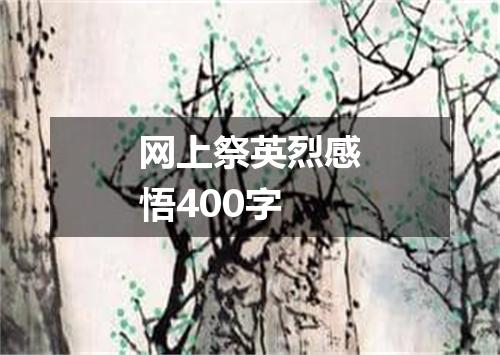 网上祭英烈感悟400字