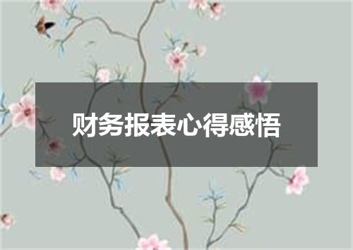 财务报表心得感悟