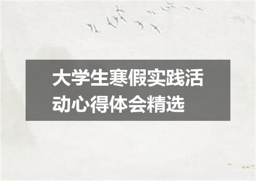 大学生寒假实践活动心得体会精选