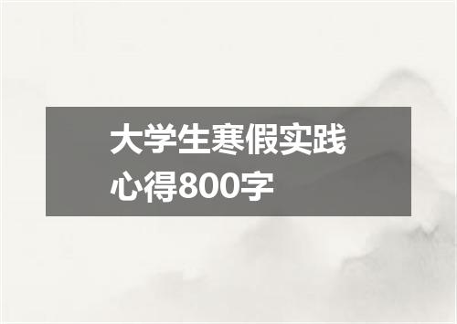 大学生寒假实践心得800字