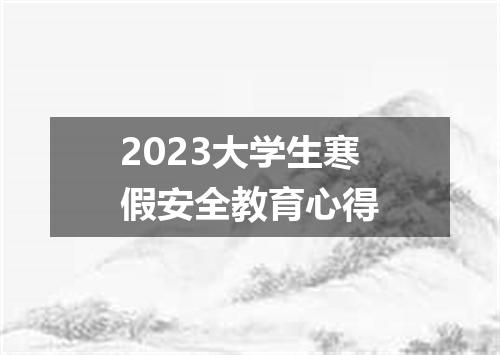 2023大学生寒假安全教育心得