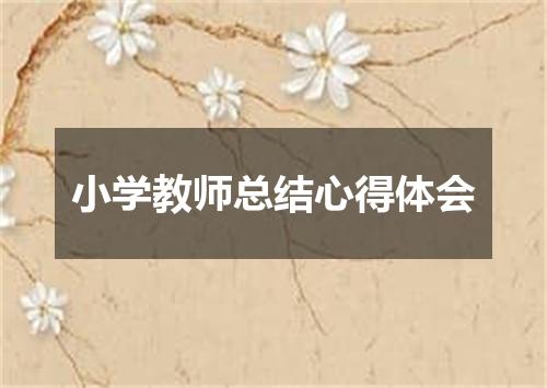 小学教师总结心得体会