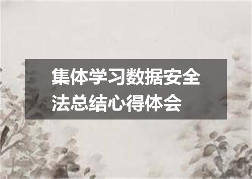 集体学习数据安全法总结心得体会