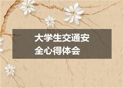 大学生交通安全心得体会