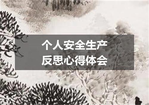 个人安全生产反思心得体会