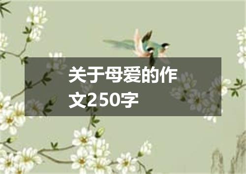 关于母爱的作文250字