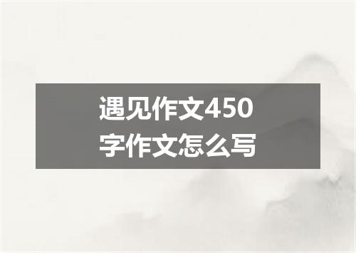 遇见作文450字作文怎么写