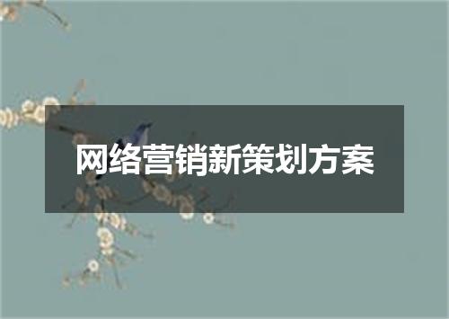 网络营销新策划方案