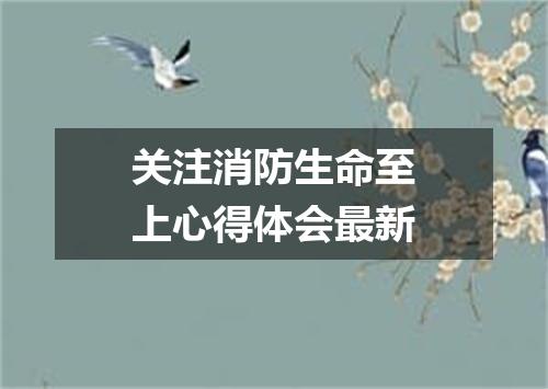关注消防生命至上心得体会最新