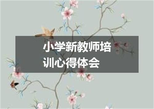 小学新教师培训心得体会