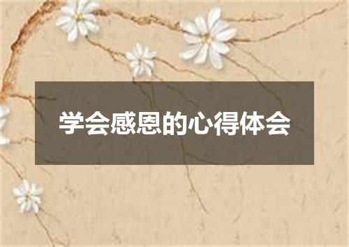 学会感恩的心得体会