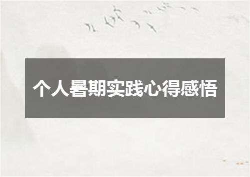 个人暑期实践心得感悟