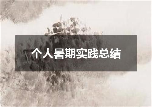 个人暑期实践总结