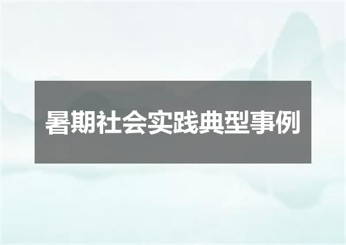 暑期社会实践典型事例