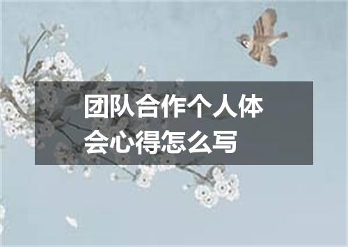 团队合作个人体会心得怎么写