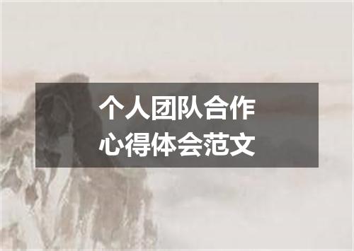 个人团队合作心得体会范文