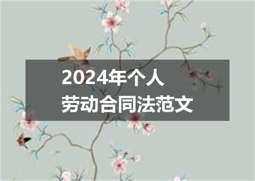 2024年个人劳动合同法范文
