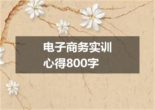 电子商务实训心得800字