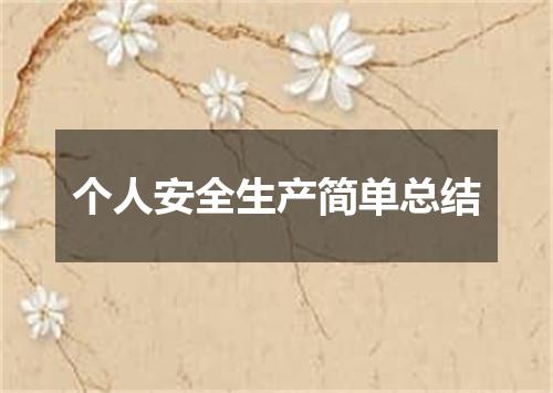 个人安全生产简单总结