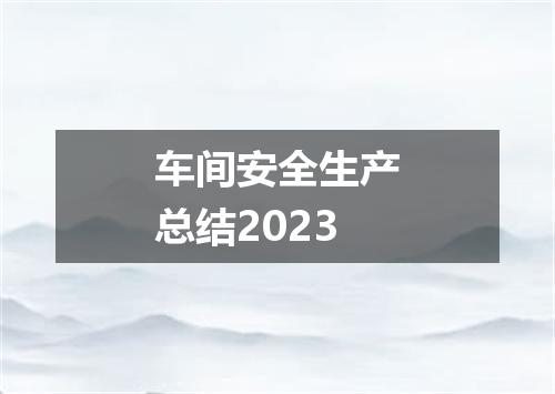 车间安全生产总结2023