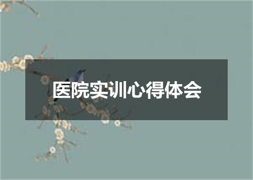 医院实训心得体会